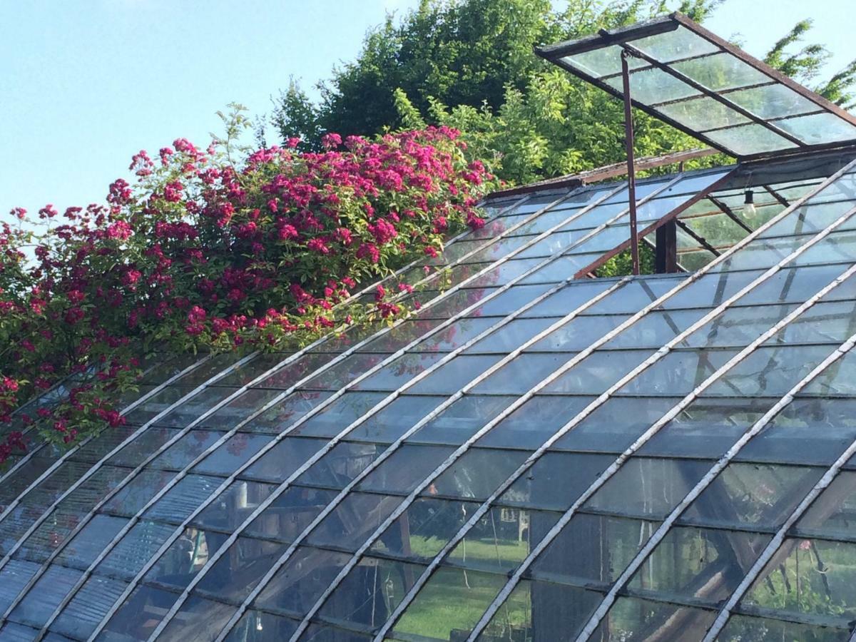 Le Jardin Des Sources Bed and Breakfast La Hulpe Exteriör bild